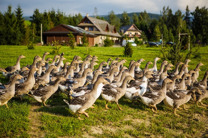 Photo 6 at Oravský Háj - Garden Hotel&Resort in Brezovica