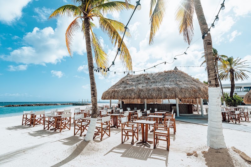 Photo 5 at Mangrove Beach Corendon Curacao All-Inclusive Resort, Curio by Hilton in Willemstad