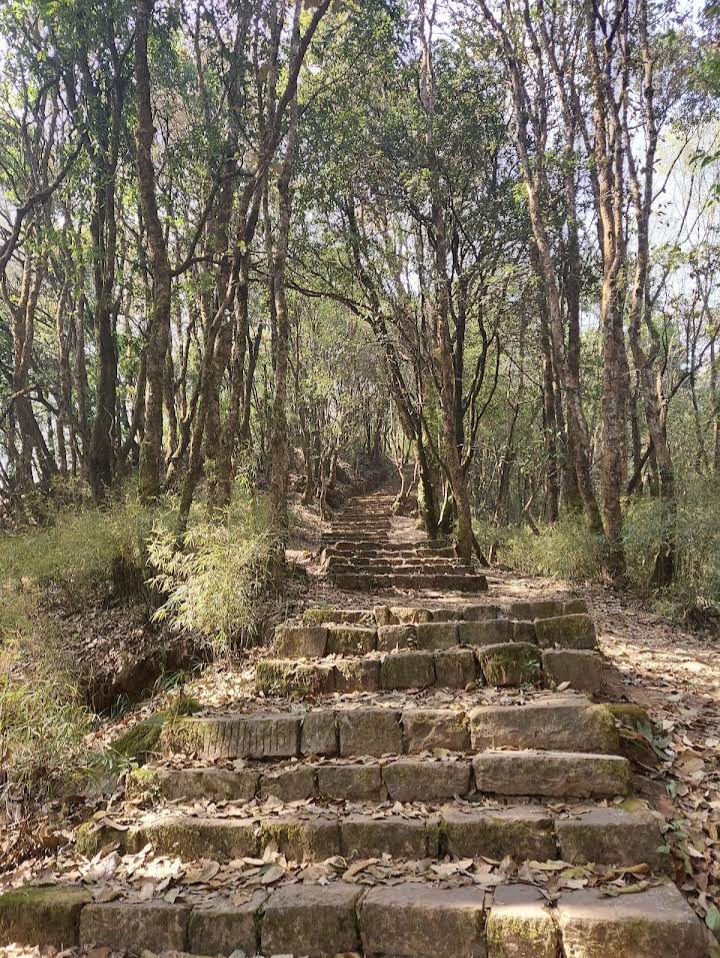 Photo 2 at Nagarjun Forest Reserve in Nagarjun