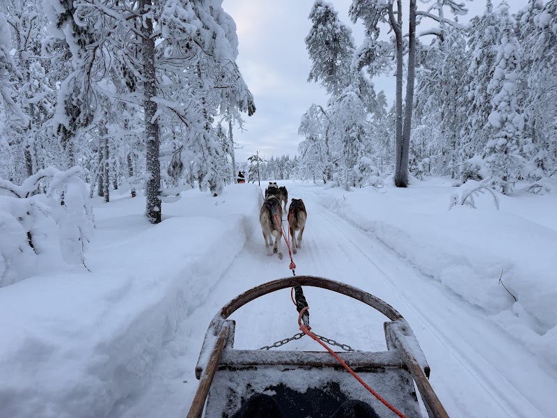 Photo 6 at Wild About Lapland in Rovaniemi