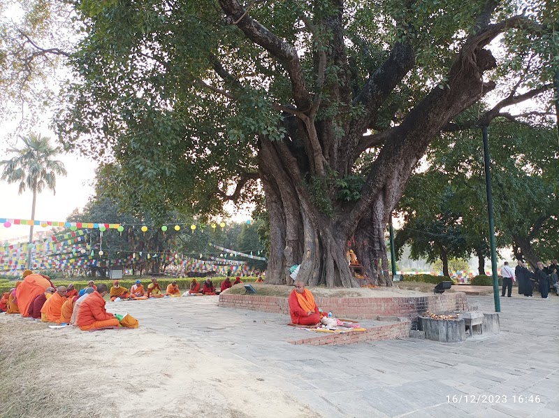 Photo 4 at Maya Devi Temple in Lumbini Sanskritik