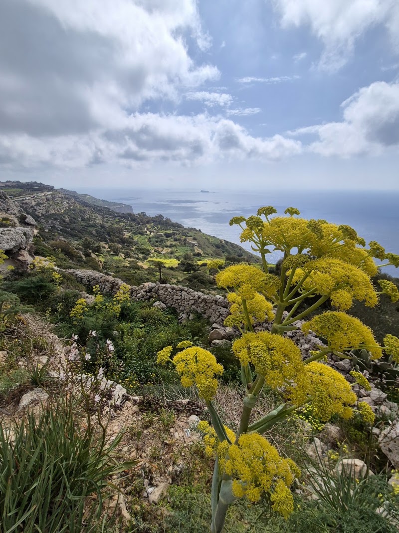 Photo 4 at Dingli Cliffs in Dingli