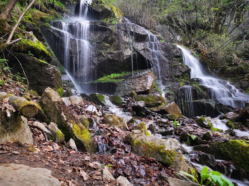 Photo 2 at Vitosha Nature Park in Sofia