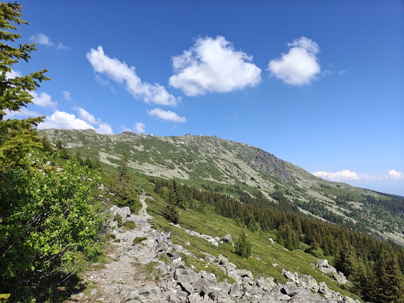 Photo 5 at Vitosha Nature Park in Sofia