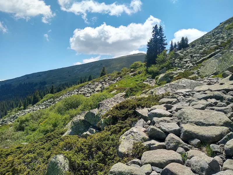 Photo 1 at Vitosha Nature Park in Sofia