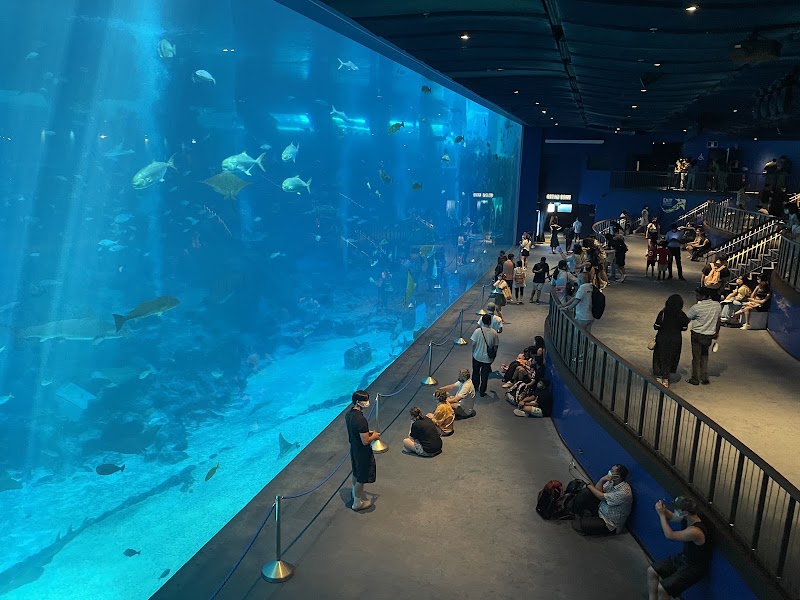 Singapore Oceanarium in 