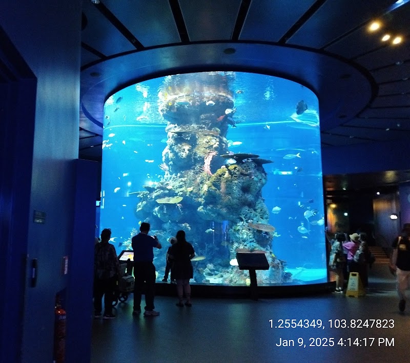Photo 3 at Singapore Oceanarium in 