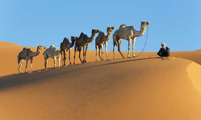 Photo 3 at 'Uruq Bani Ma'arid in 