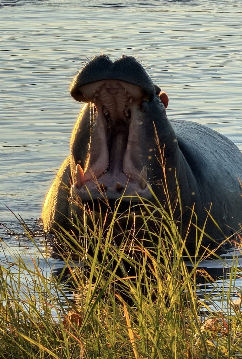 Photo 3 at Gondwana Tours & Safaris in Maun