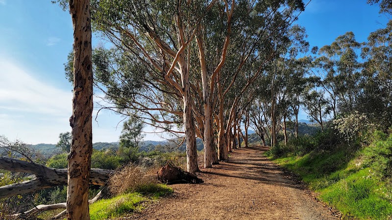 Photo 6 at Will Rogers State Historic Park in Los Angeles