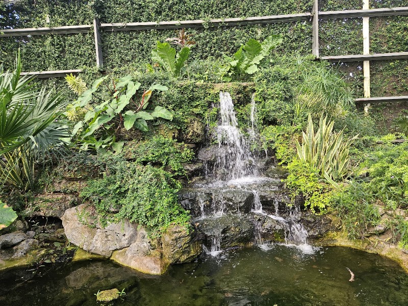 Photo 2 at The Blue Harbor Tropical Arboretum in Coxen Hole