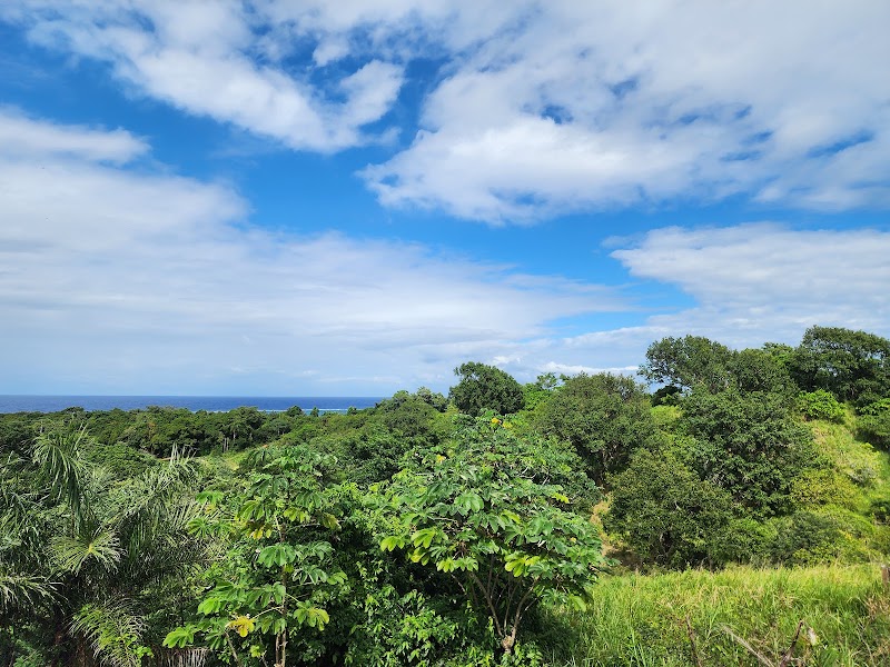 Photo 3 at The Blue Harbor Tropical Arboretum in Coxen Hole