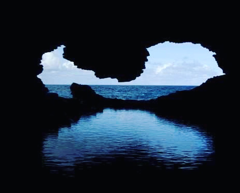 Animal Flower Cave & Restaurant in 