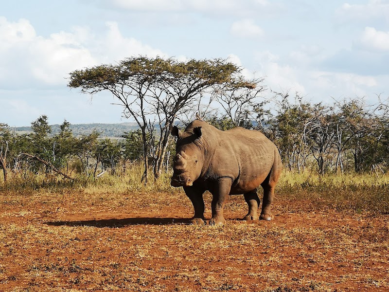 Photo 2 at iSimangaliso Wetland Park in 
