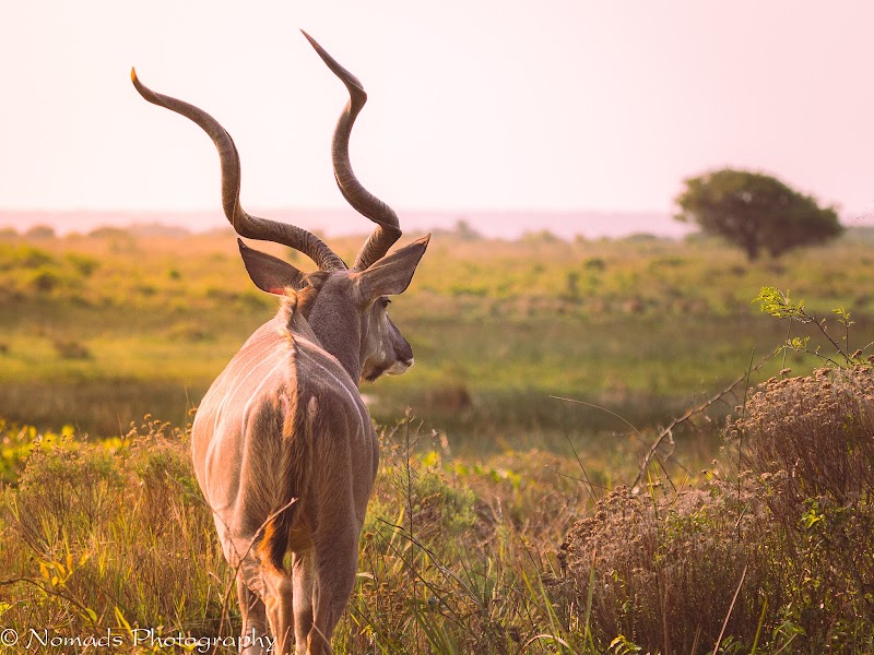 Photo 6 at iSimangaliso Wetland Park in 