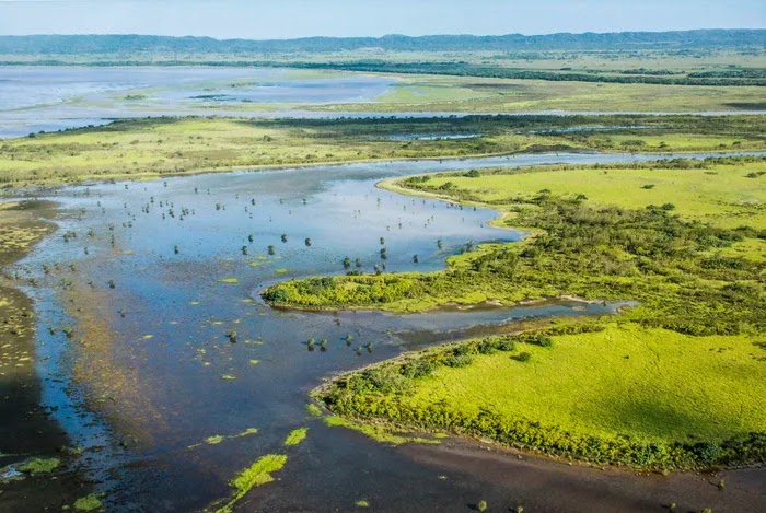 Photo 5 at iSimangaliso Wetland Park in 