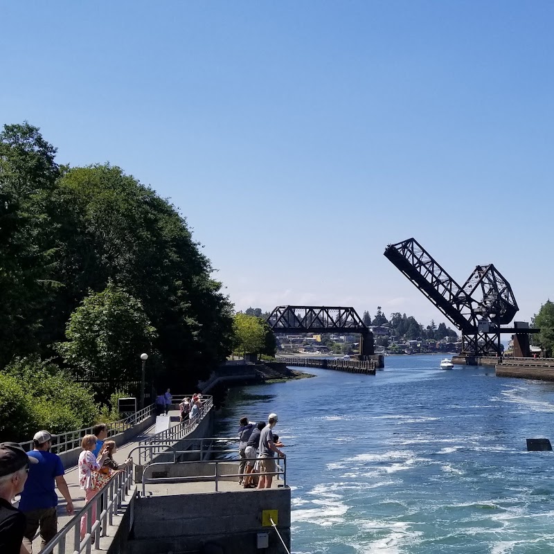 Photo 6 at Ballard (Hiram M. Chittenden) Locks in Seattle