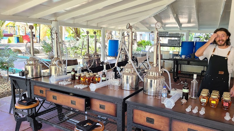 Photo 1 at Academy of Rum in English Harbour