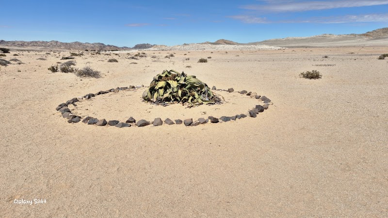 Photo 2 at Welwitschia Plain - Beacon 12 in Haigamkab