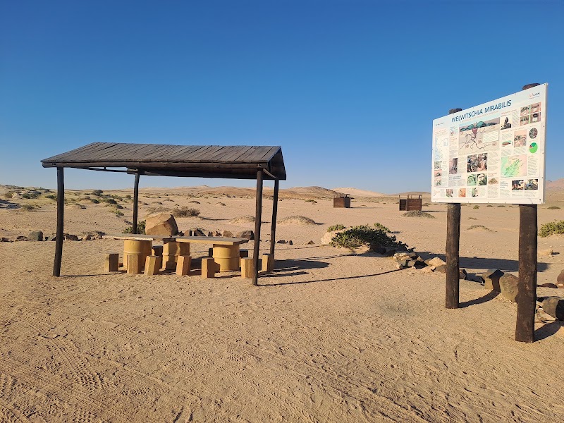 Photo 1 at Welwitschia Plain - Beacon 12 in Haigamkab