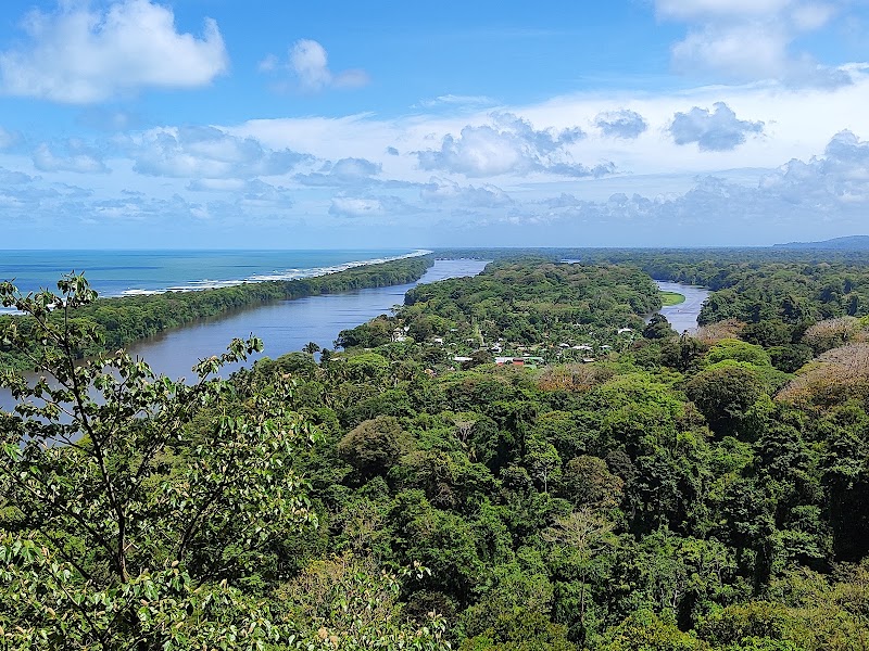 Photo 1 at Parque Nacional Tortuguero in Roxana
