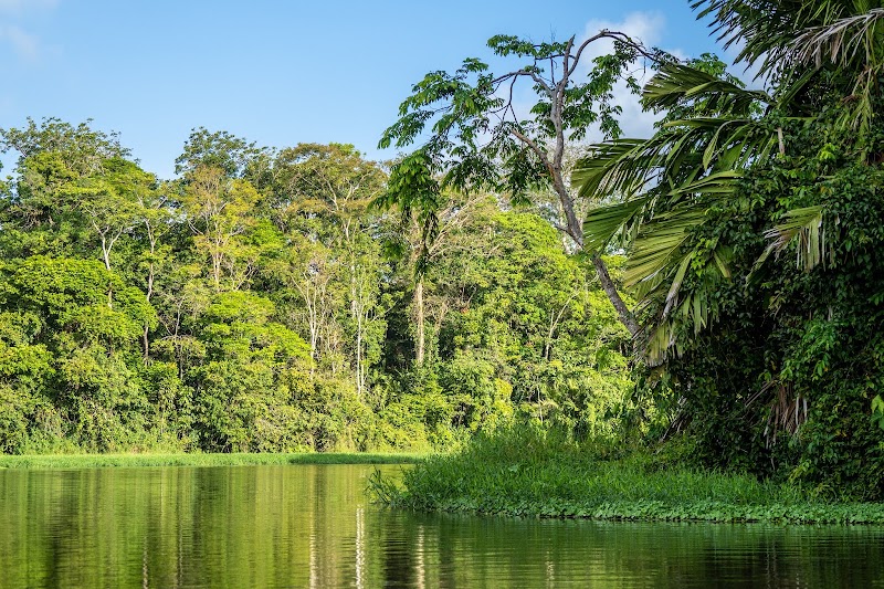 Photo 5 at Parque Nacional Tortuguero in Roxana
