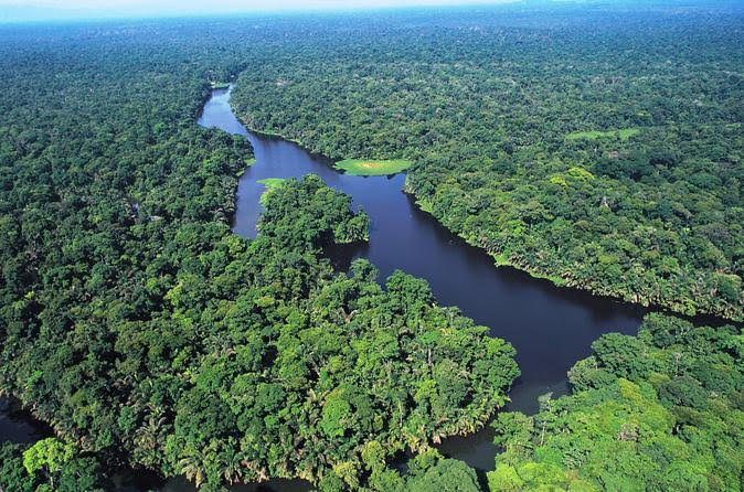 Parque Nacional Tortuguero in Roxana