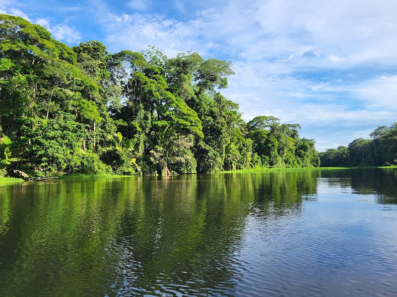 Photo 2 at Parque Nacional Tortuguero in Roxana