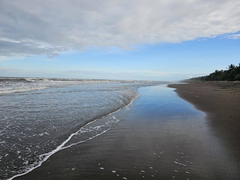 Photo 3 at Parque Nacional Tortuguero in Roxana