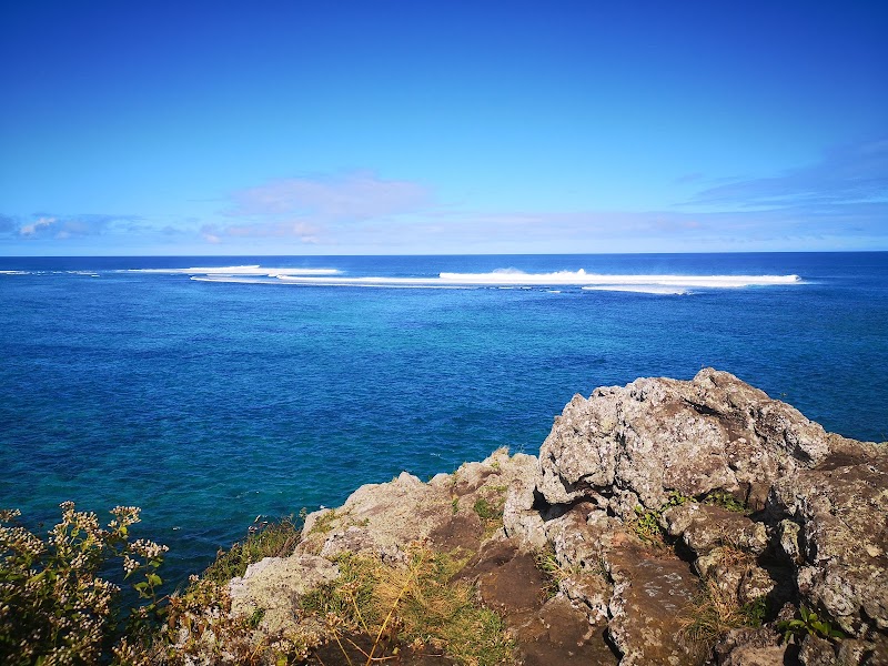Photo 4 at Captain Matthew Flinders Monument in 