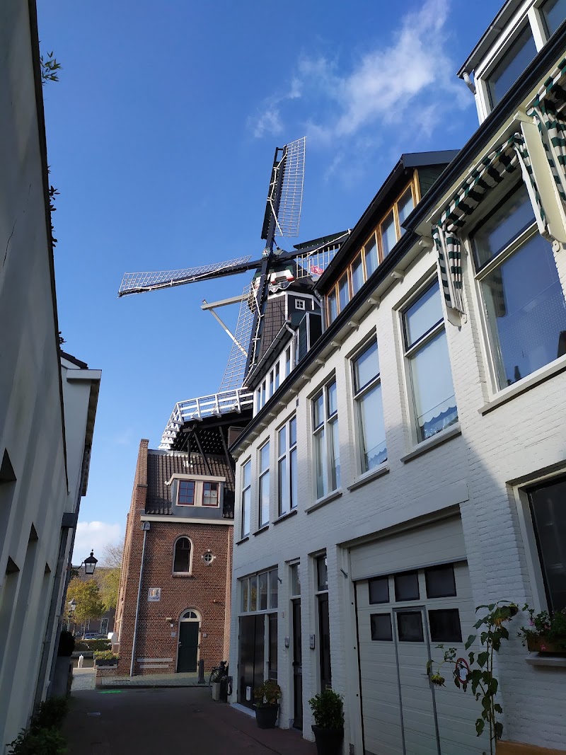 Photo 5 at Windmill De Adriaan (1779) in Haarlem