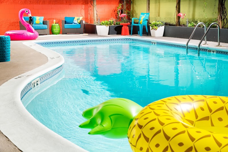 Photo 6 at University Inn - A Staypineapple Hotel in Seattle