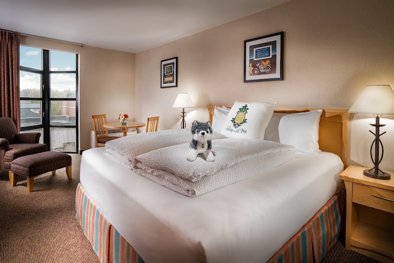 Photo 5 at University Inn - A Staypineapple Hotel in Seattle