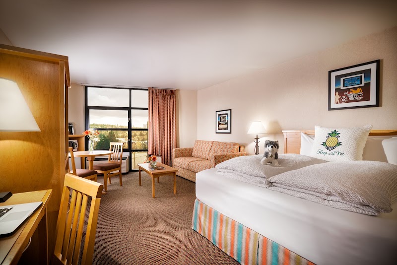 Photo 1 at University Inn - A Staypineapple Hotel in Seattle