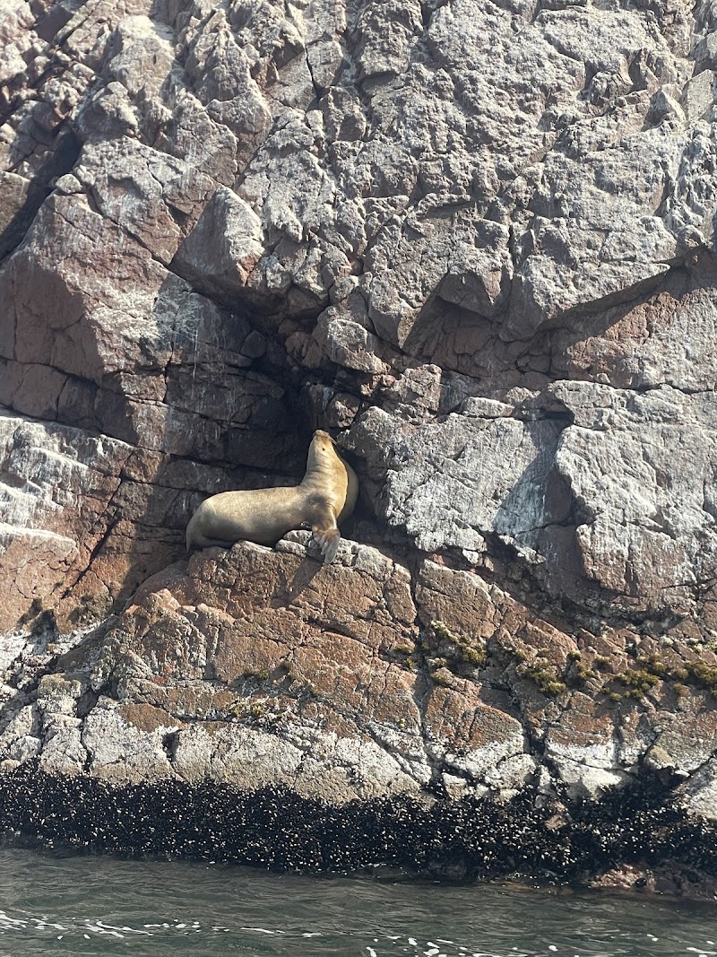 Photo 6 at Tours in Paracas | Desertland Adventure | Paracas in Paracas