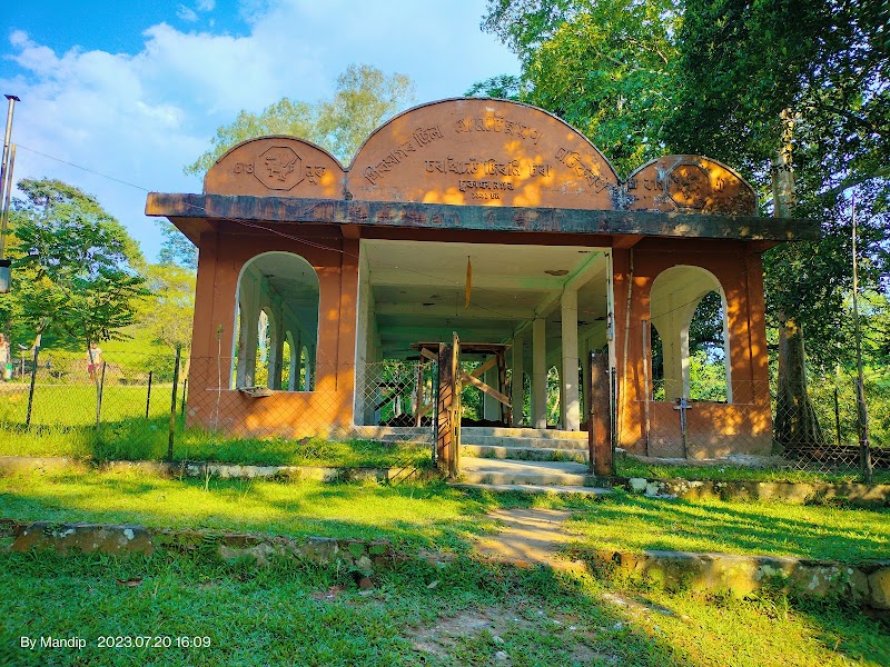 Photo 5 at Charaideo Maidam in Bokopukhuri Habi