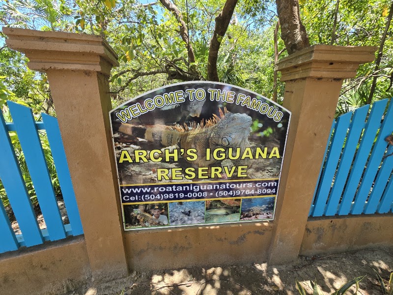 Photo 6 at Arch's Iguana and Marine Park in French Cay