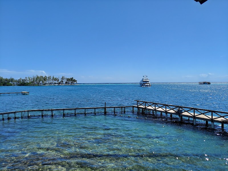Photo 5 at Arch's Iguana and Marine Park in French Cay