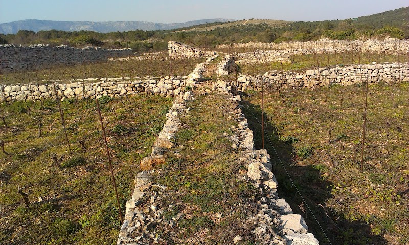 Stari Grad Plain in Stari Grad
