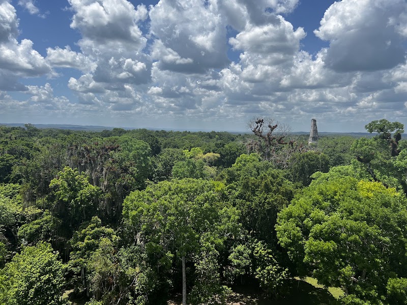 Photo 1 at Reserva de Biosfera Maya in Calabasco