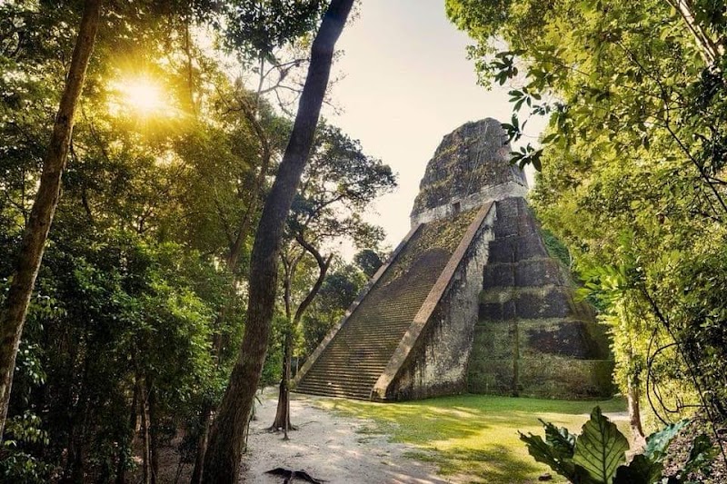 Photo 4 at Reserva de Biosfera Maya in Calabasco