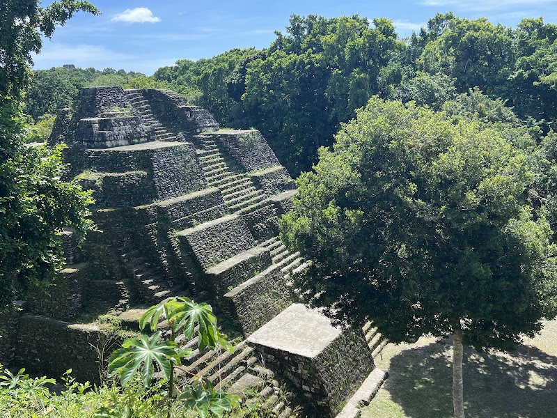Photo 6 at Reserva de Biosfera Maya in Calabasco