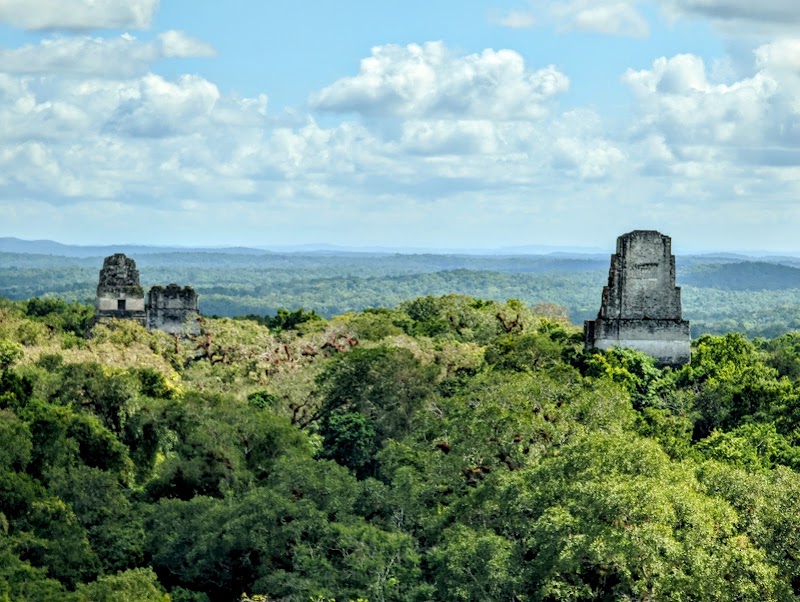 Reserva de Biosfera Maya in Calabasco