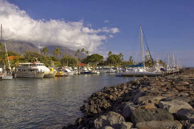 Photo 4 at Lahaina Shores Beach Resort in Lahaina