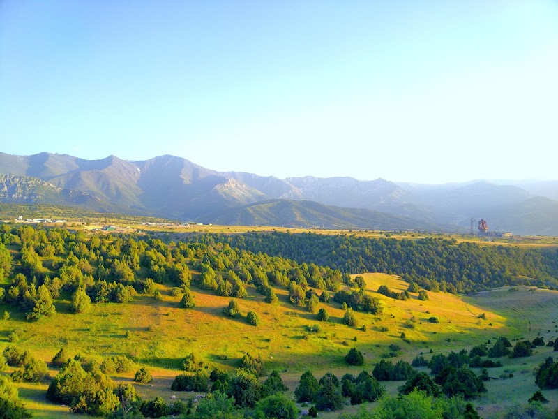 Photo 4 at Zaamin National Park in 