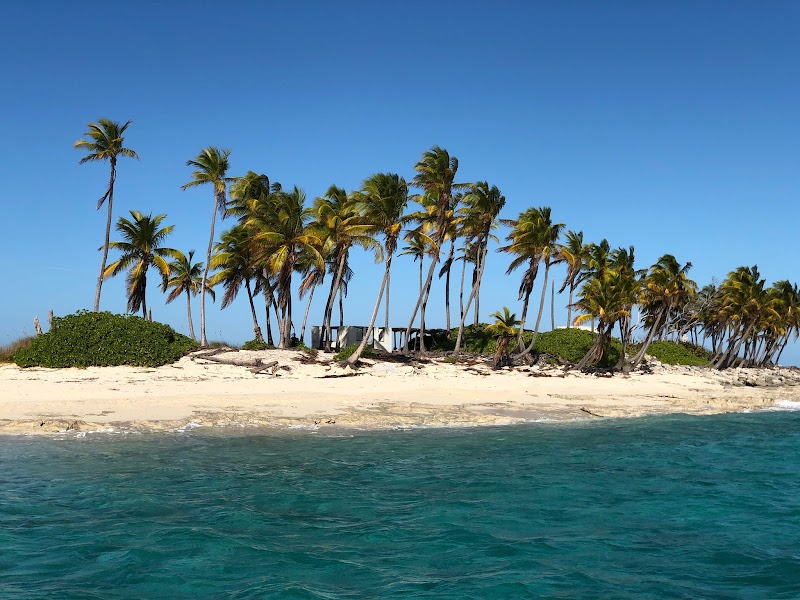 Photo 3 at Bay West Adventures in Nassau