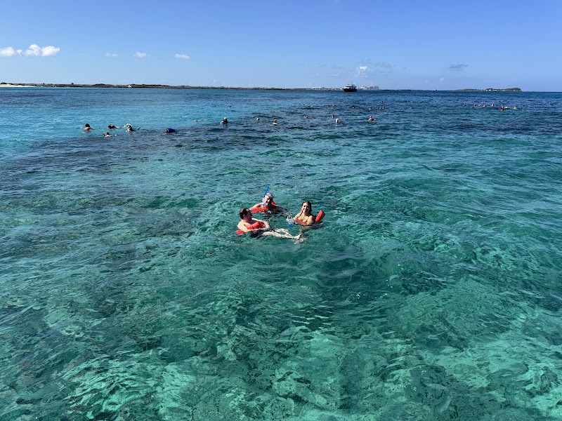 Bay West Adventures in Nassau