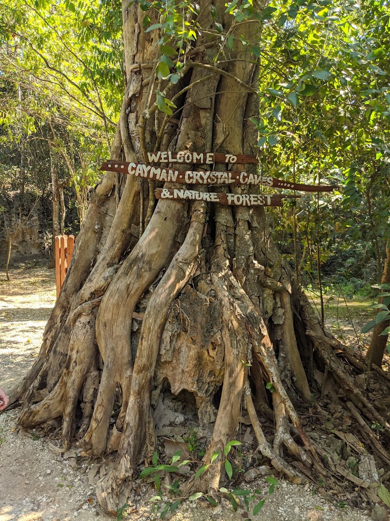 Photo 4 at Cayman Crystal Caves in Old Man Bay