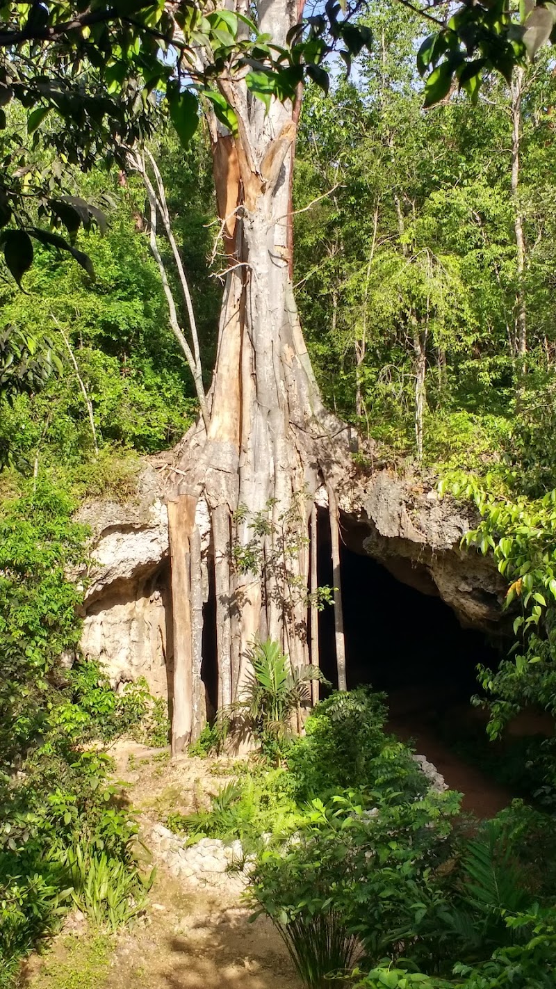 Photo 1 at Cayman Crystal Caves in Old Man Bay