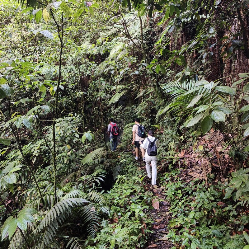 Des Cartier Trail in Blanchard